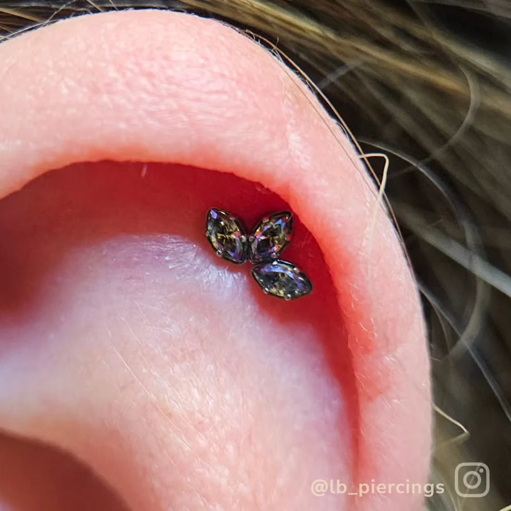 Titanium Marquise Cut Gem Fan Clusters - Image 10