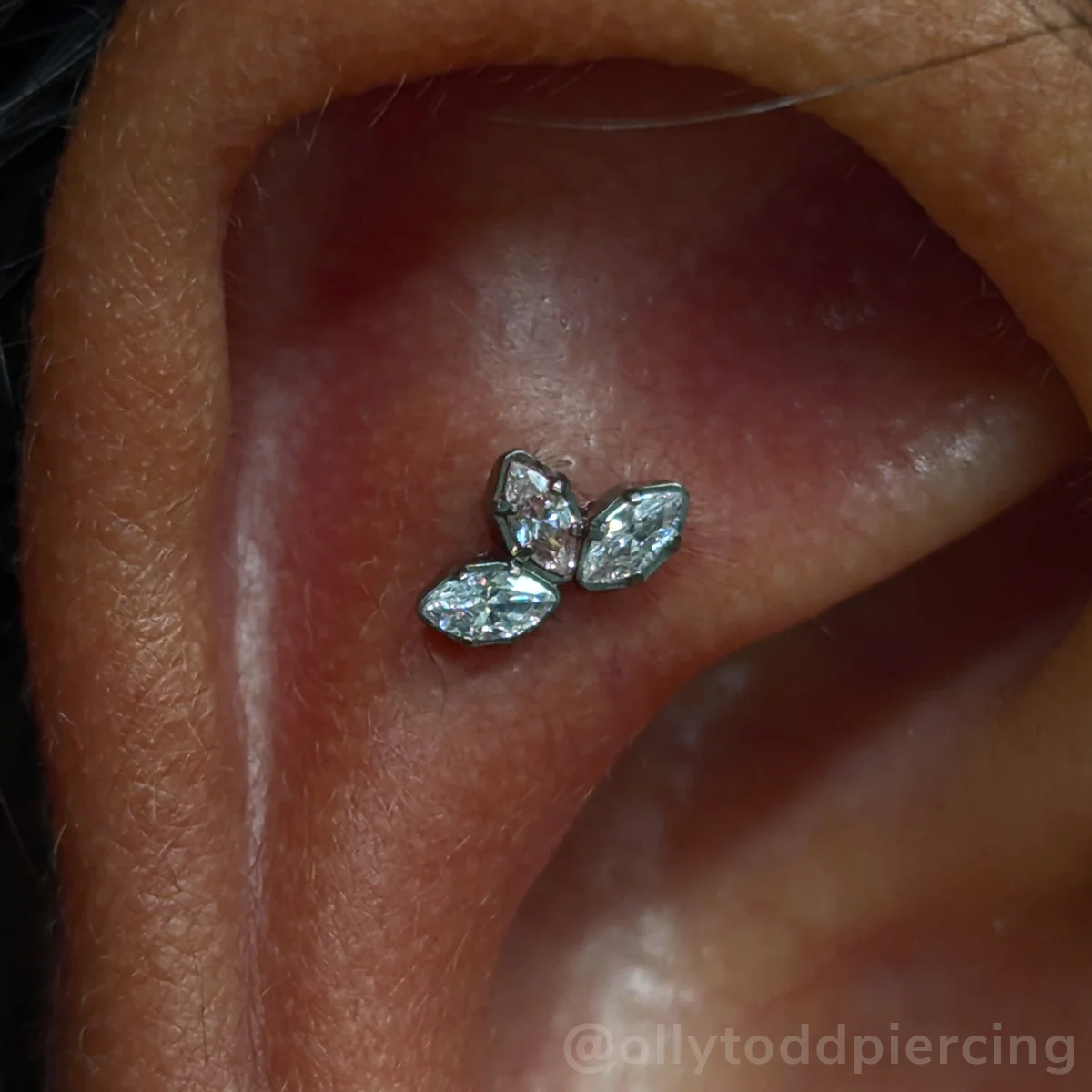 Titanium Marquise Cut Gem Fan Clusters - Image 7