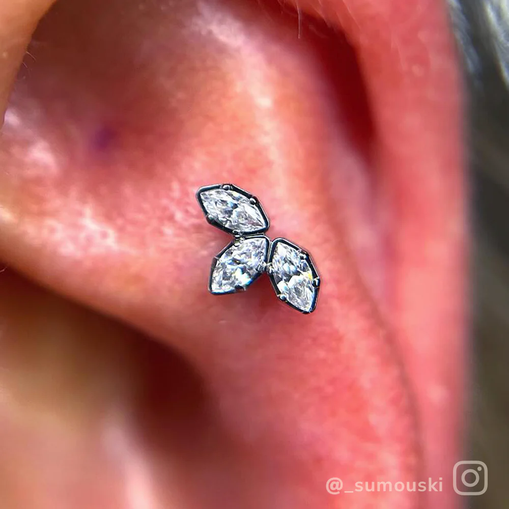 Titanium Marquise Cut Gem Fan Clusters - Image 9
