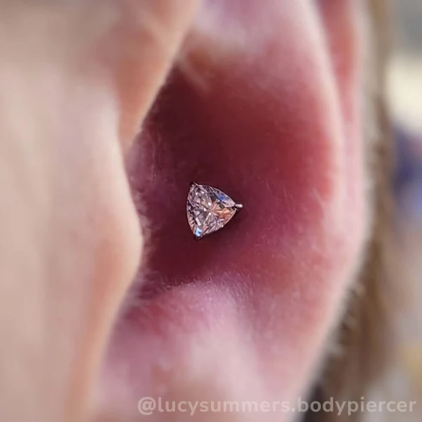 Titanium Trillion Cut Prong Set Gem - Image 4